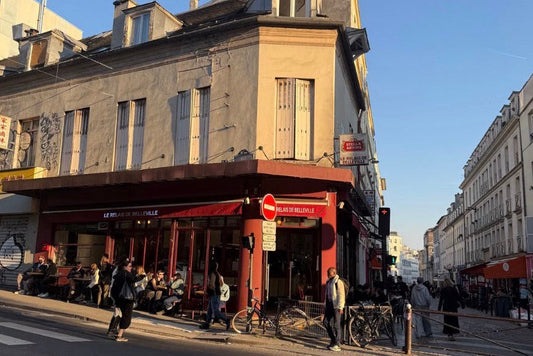 Belleville: The Village Side of Paris, Street Art and Views